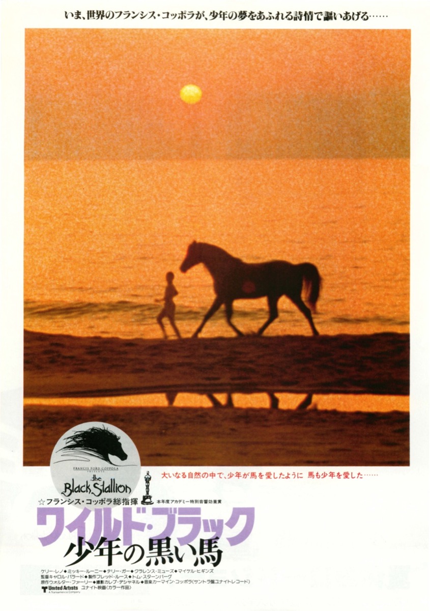 映画チラシサイト：ワイルド・ブラック少年の黒い馬