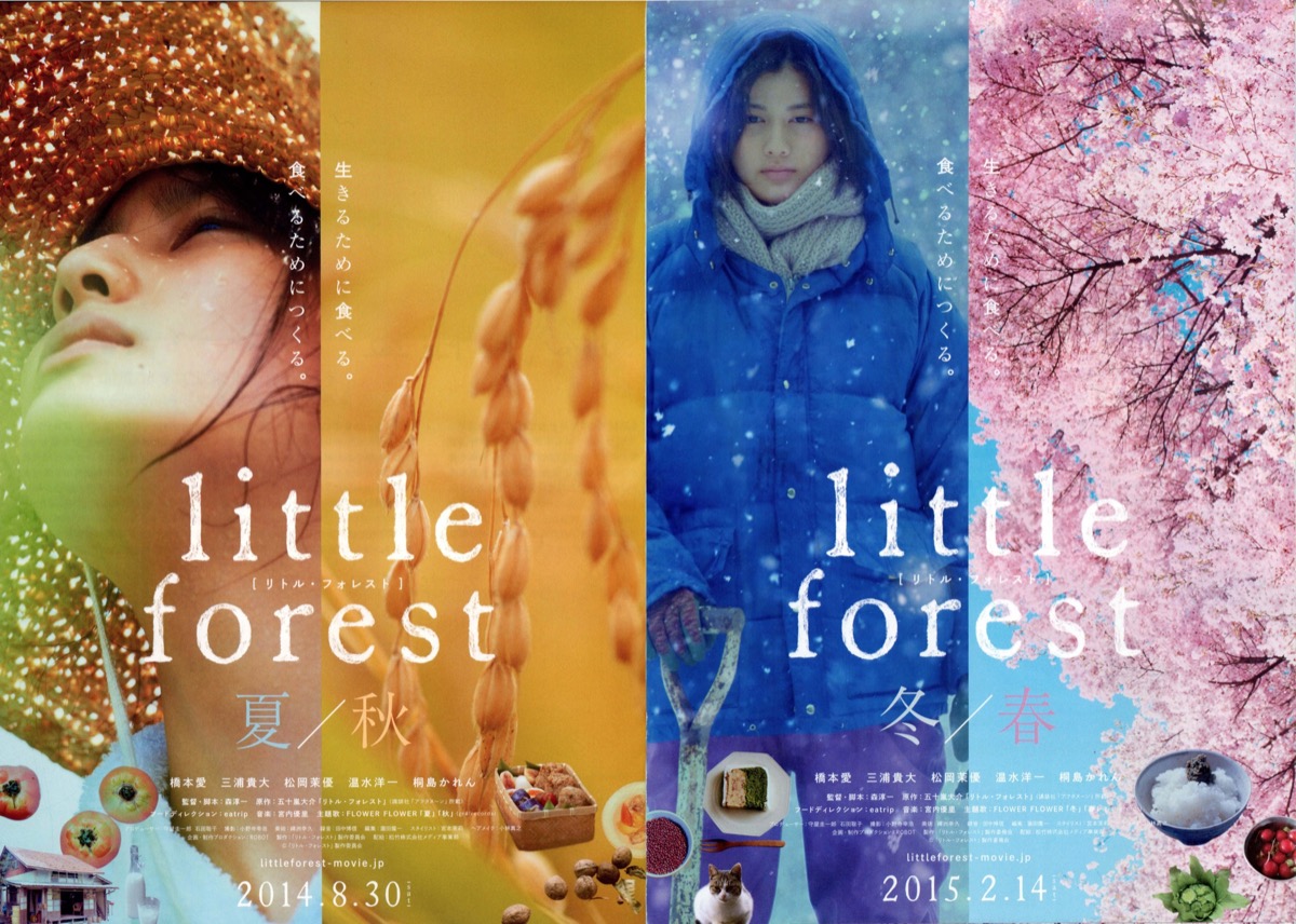 little forest　夏／秋,little forest　冬／春