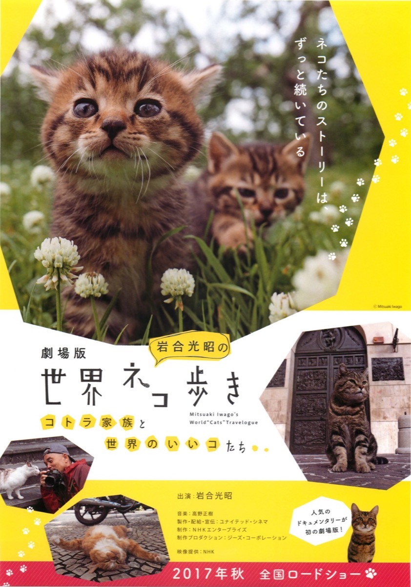 劇場版岩合光昭の世界ネコ歩き コトラ家族と世界のいいコたち