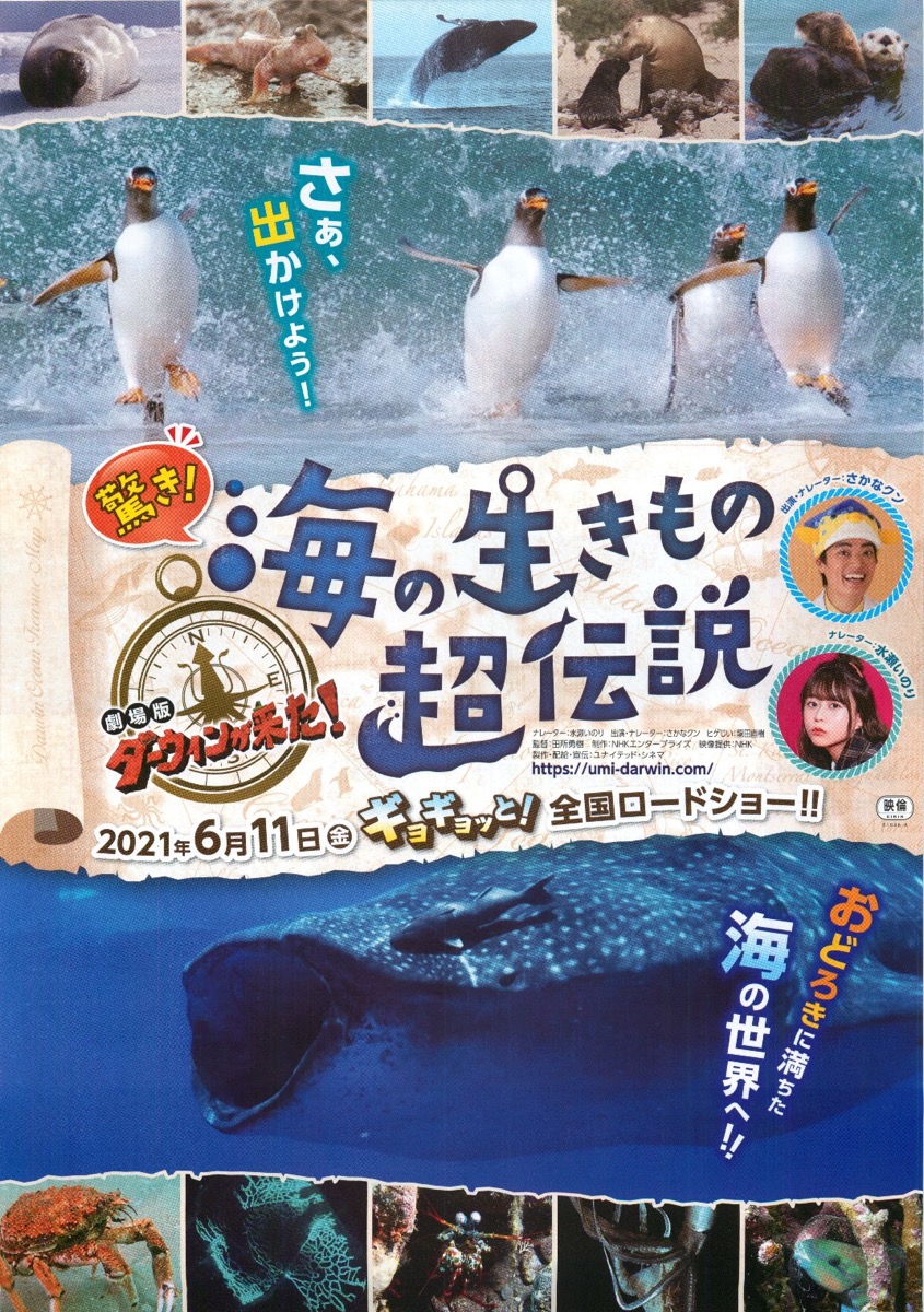 劇場版ダーウィンが来た！驚き！海の生き物超伝説