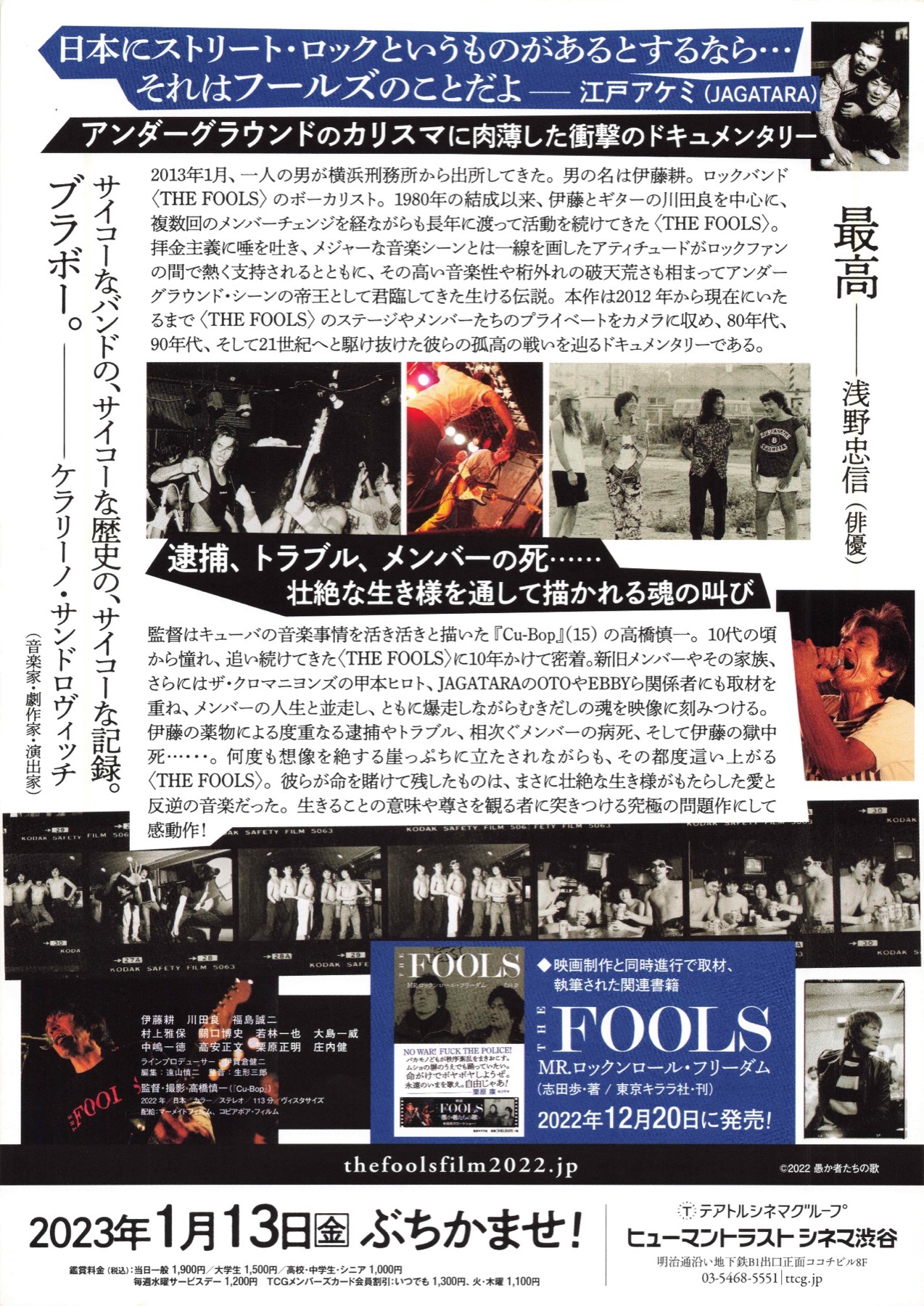 THE FOOLS 愚か者たちの歌