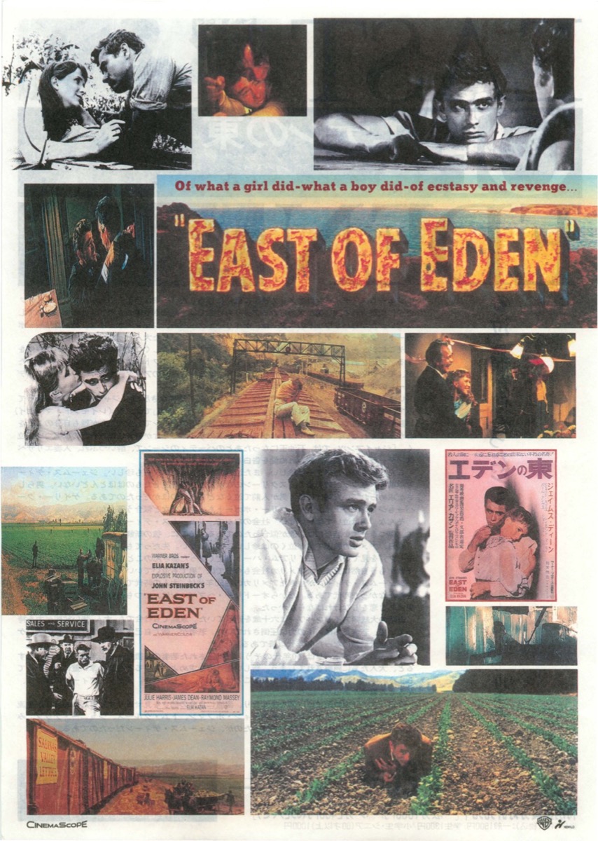 映画チラシサイト：エデンの東