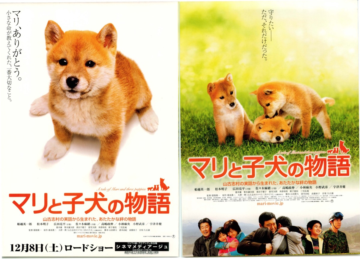 映画チラシサイト：マリと子犬の物語