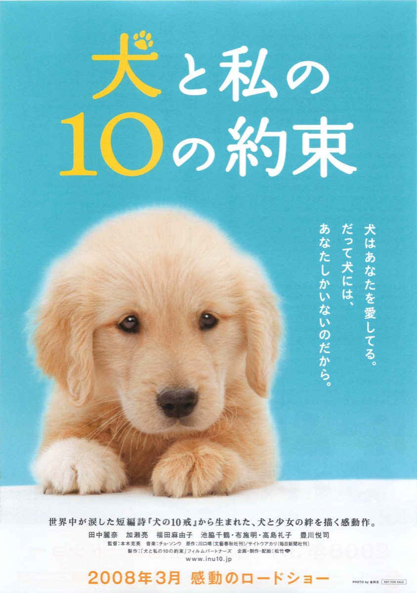 犬と私の10の約束	