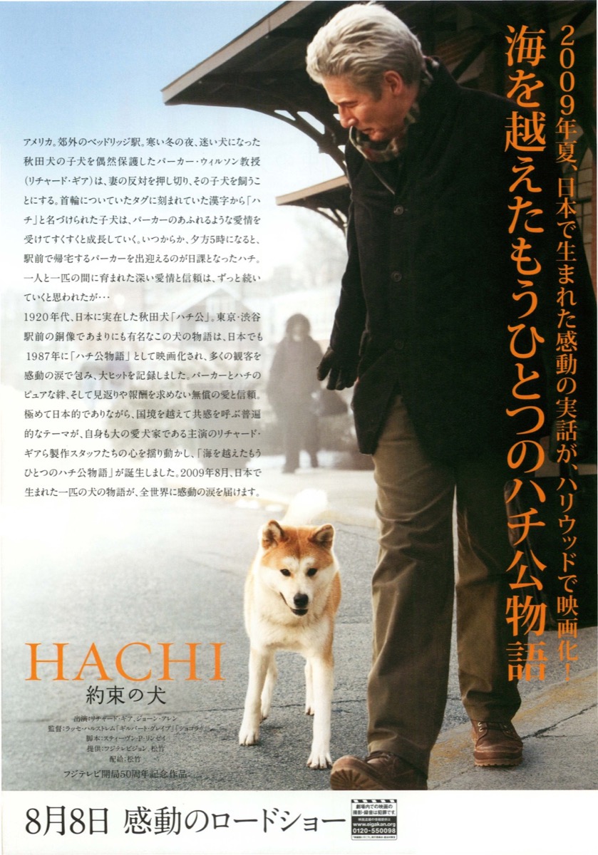 映画チラシサイト：ＨＡＣＨＩ 約束の犬