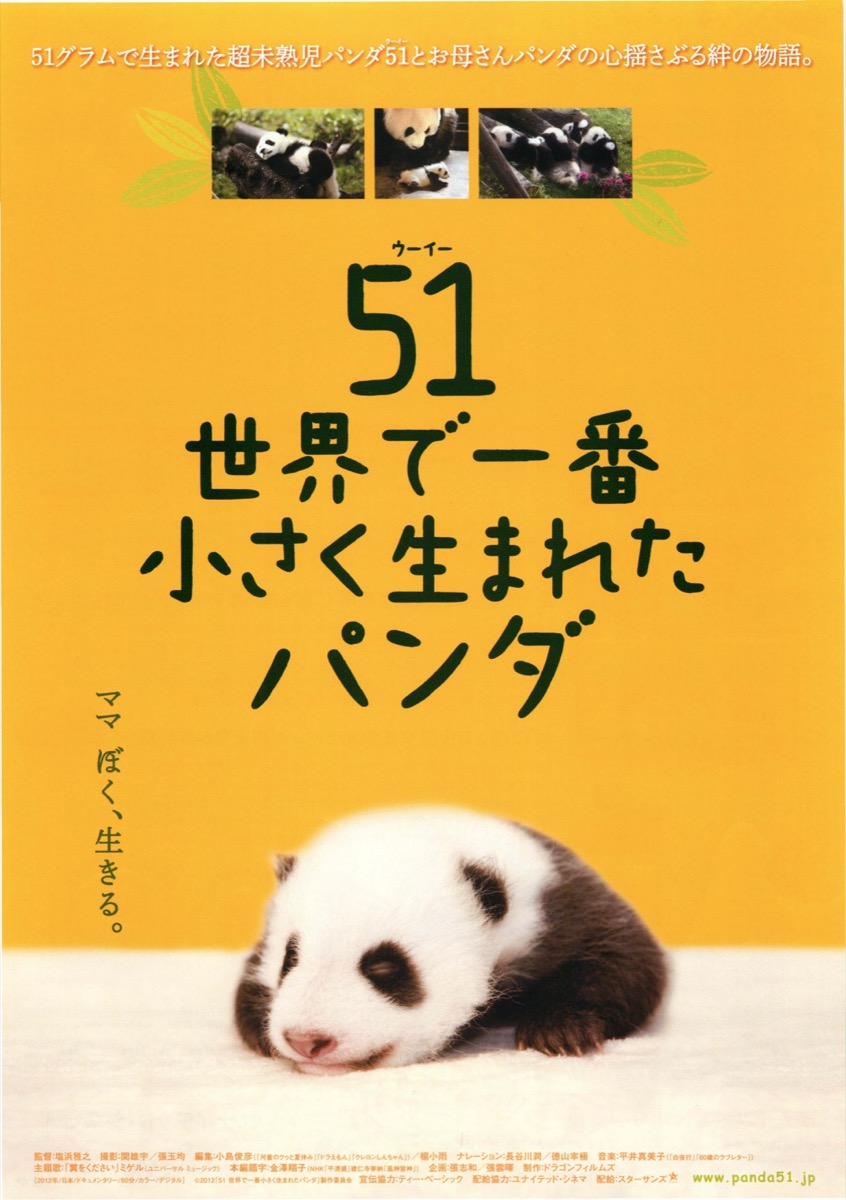 映画チラシサイト：51世界で一番小さく生まれたパンダ