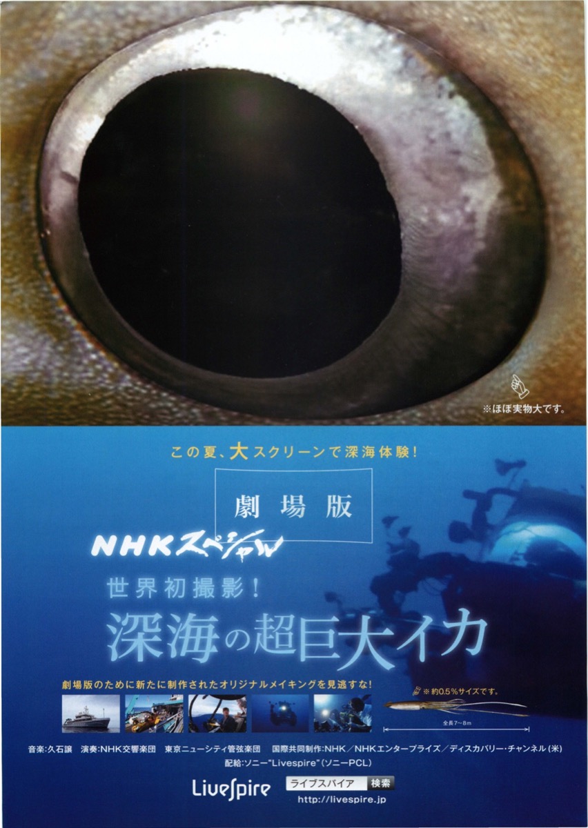 NHKスペシャル 世界初撮影！深海の超巨大イカ