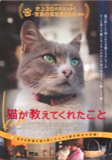 猫が教えてくれたこと