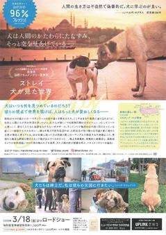 ストレイ　犬が見た世界