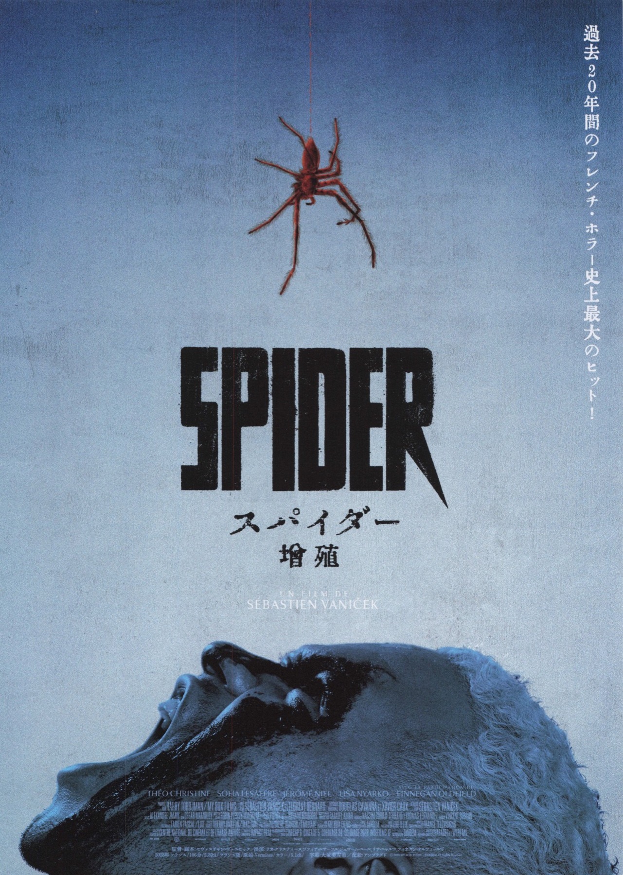 SPIDER 増殖