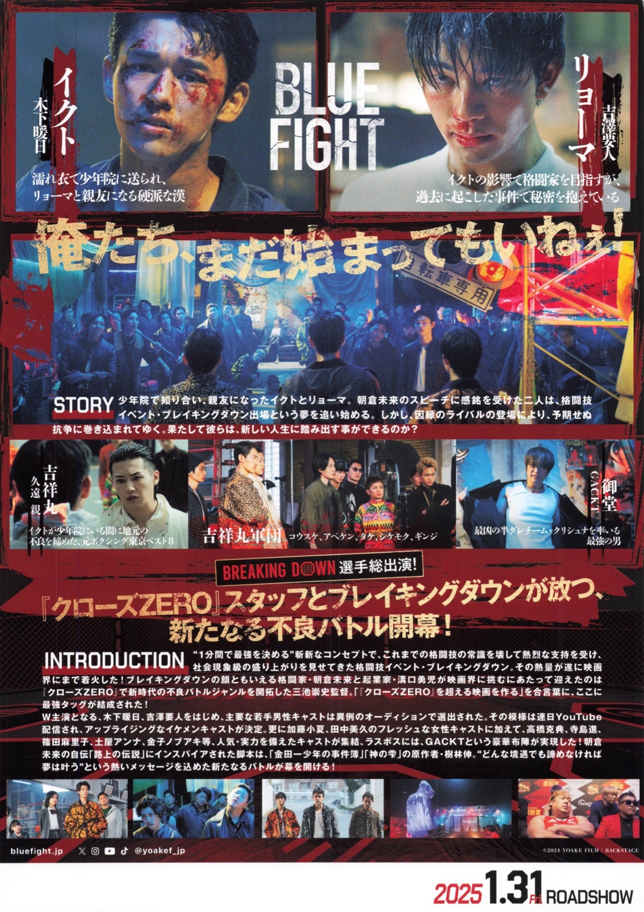 BULE FIGHT〜蒼き若者たちのブレイキングダウン〜