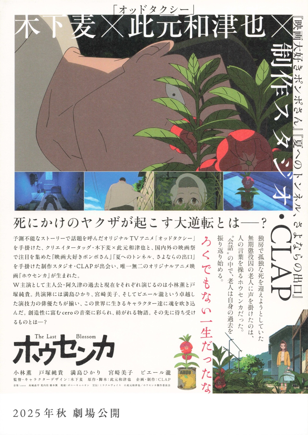 ホウセンカ