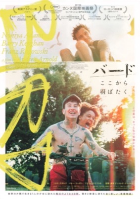 バード　ここから羽ばたく