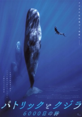 パトリックとクジラ　6000日の絆