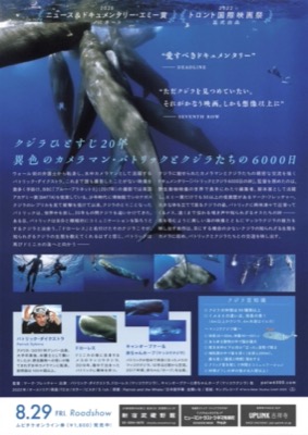 パトリックとクジラ　6000日の絆