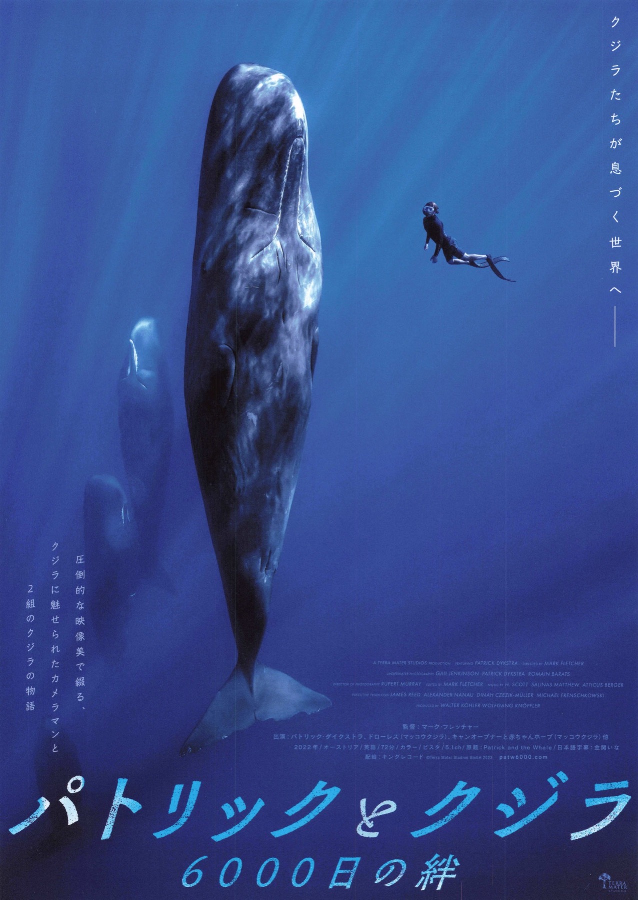 パトリックとクジラ　6000日の絆