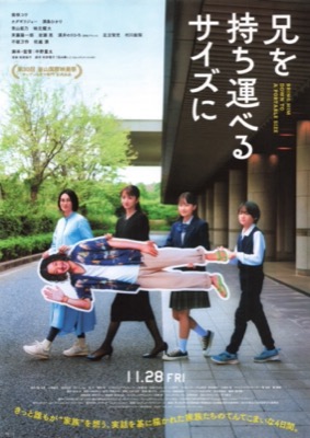 兄を持ち運べるサイズに