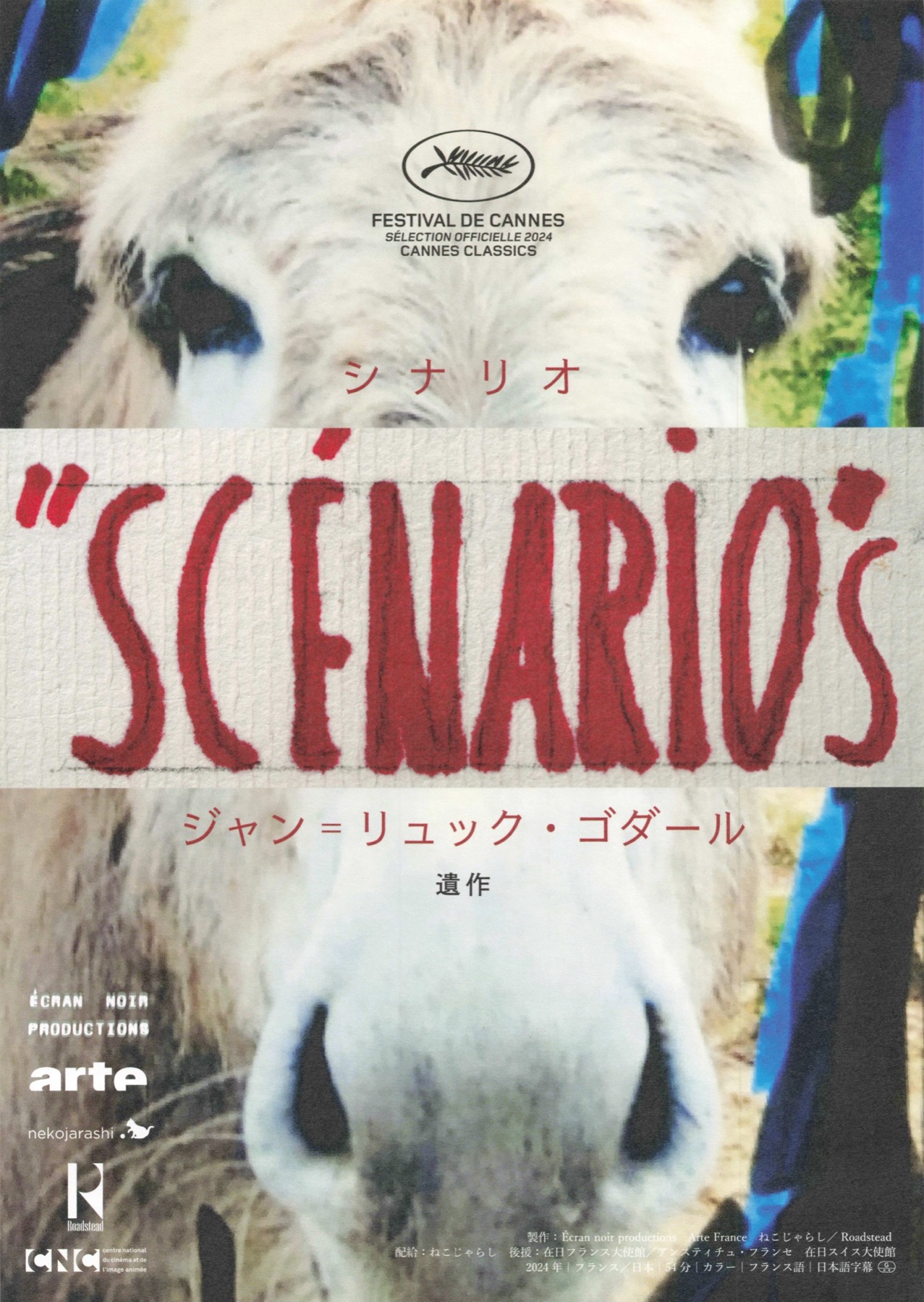 シナリオ,シナリオ：予告編の構想