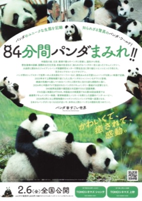 パンダのすごい世界