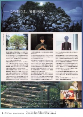 クスノキの番人