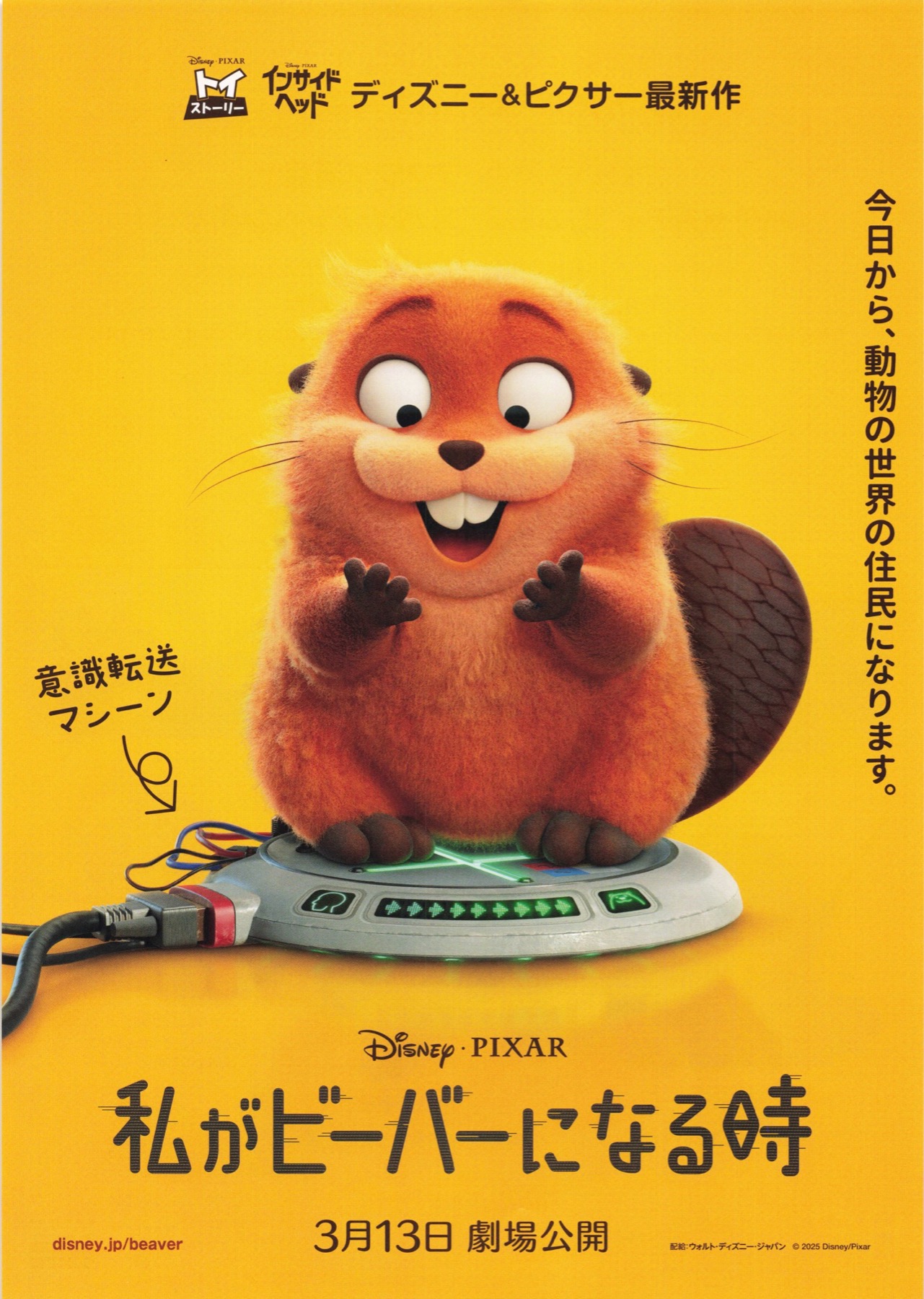 私がビーバーになる時