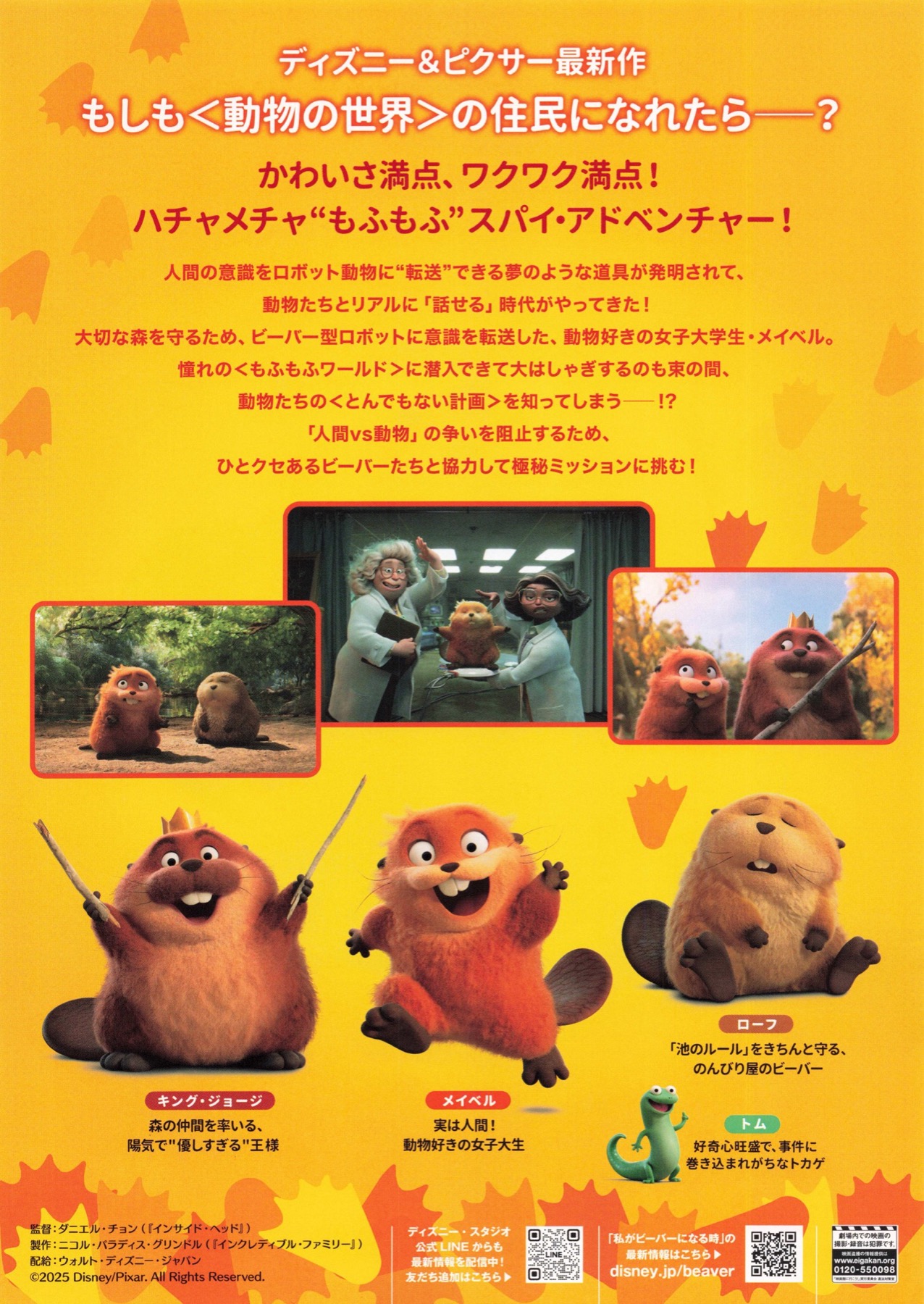 私がビーバーになる時