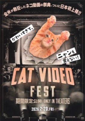CAT VIDEO FEST 期間限定公開　ONLY IN THEATERS