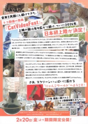 CAT VIDEO FEST 期間限定公開　ONLY IN THEATERS