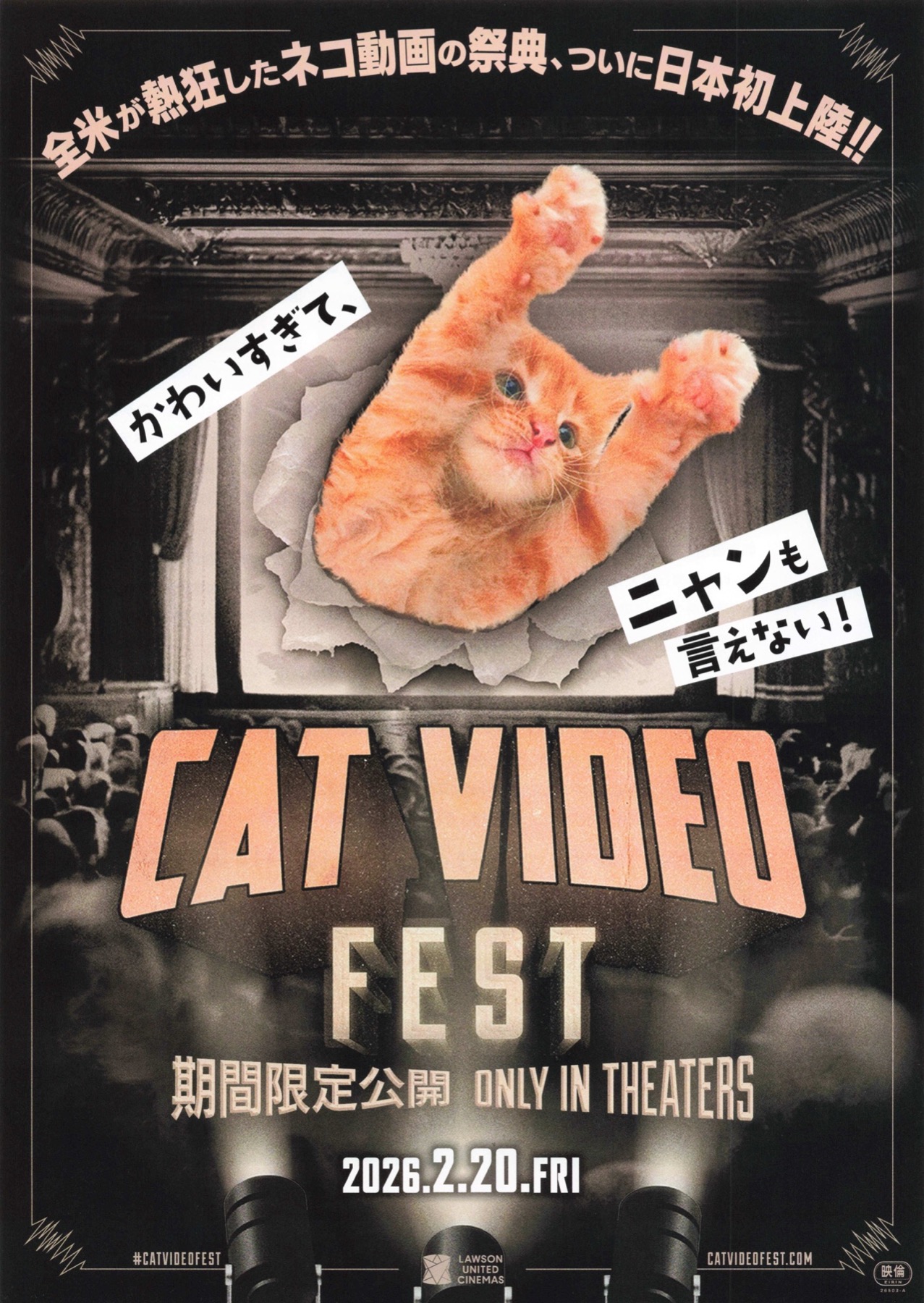 CAT VIDEO FEST 期間限定公開　ONLY IN THEATERS