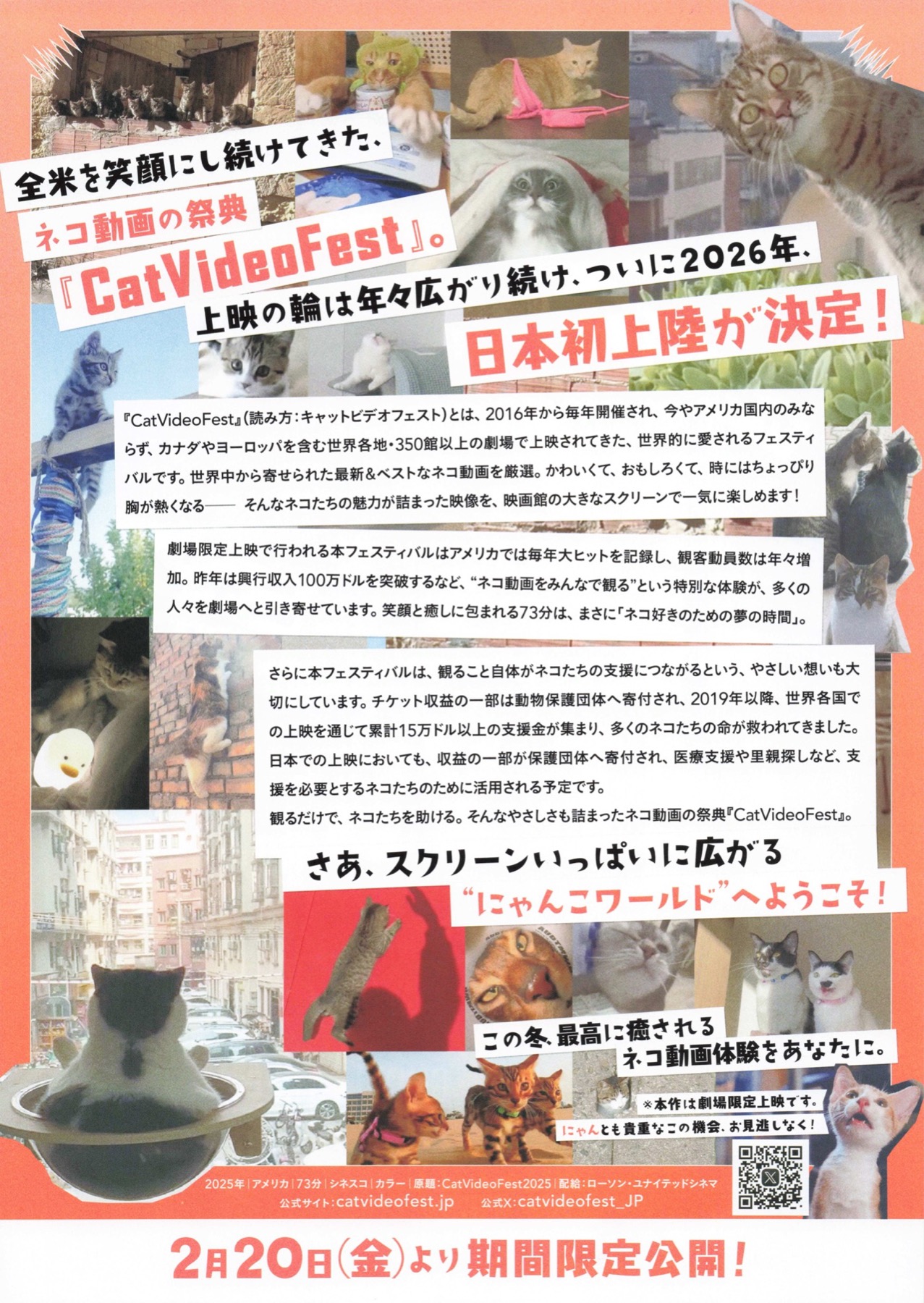 CAT VIDEO FEST 期間限定公開　ONLY IN THEATERS